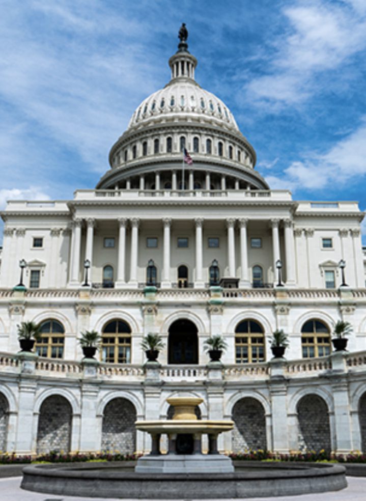 The US capitol building.