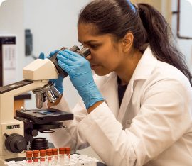 A researcher looking through a microscope